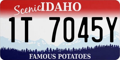 ID license plate 1T7045Y