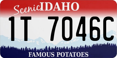 ID license plate 1T7046C