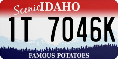 ID license plate 1T7046K