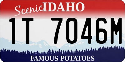 ID license plate 1T7046M