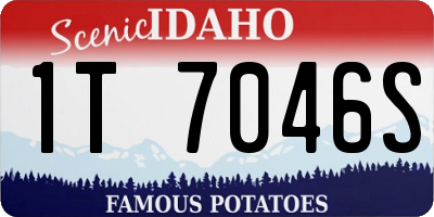 ID license plate 1T7046S