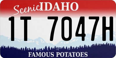 ID license plate 1T7047H