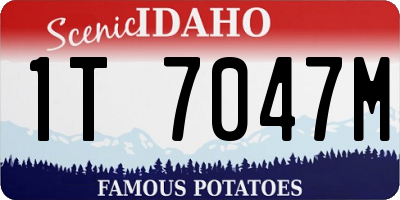 ID license plate 1T7047M