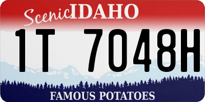 ID license plate 1T7048H
