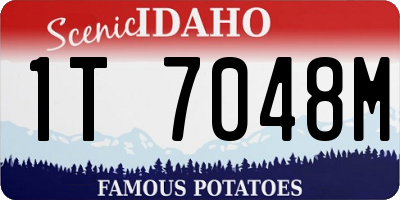 ID license plate 1T7048M