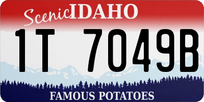 ID license plate 1T7049B