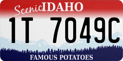 ID license plate 1T7049C