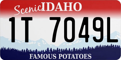 ID license plate 1T7049L