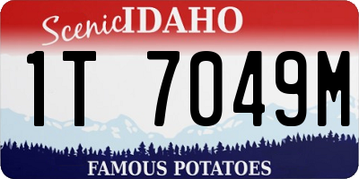 ID license plate 1T7049M