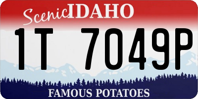 ID license plate 1T7049P