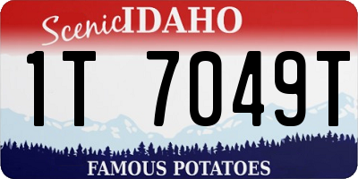 ID license plate 1T7049T