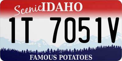 ID license plate 1T7051V