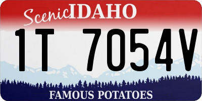 ID license plate 1T7054V