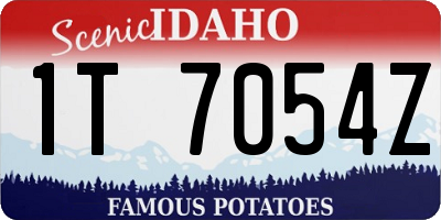 ID license plate 1T7054Z