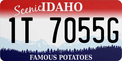ID license plate 1T7055G