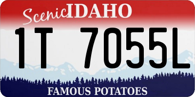 ID license plate 1T7055L