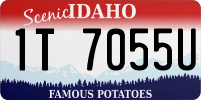 ID license plate 1T7055U