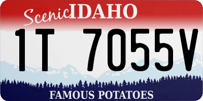 ID license plate 1T7055V