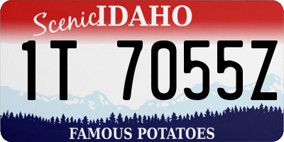 ID license plate 1T7055Z