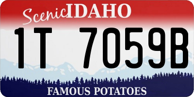 ID license plate 1T7059B
