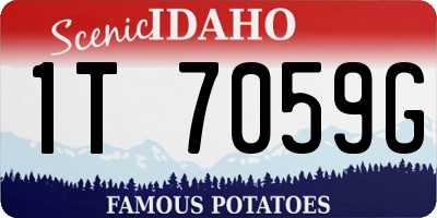 ID license plate 1T7059G