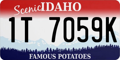 ID license plate 1T7059K