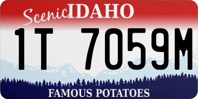 ID license plate 1T7059M