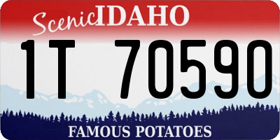 ID license plate 1T7059O