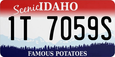 ID license plate 1T7059S