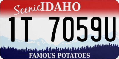 ID license plate 1T7059U