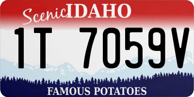 ID license plate 1T7059V