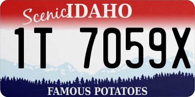 ID license plate 1T7059X
