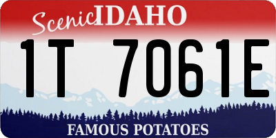 ID license plate 1T7061E