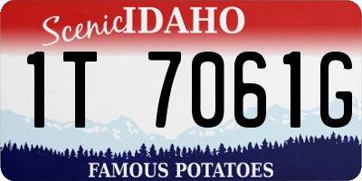 ID license plate 1T7061G