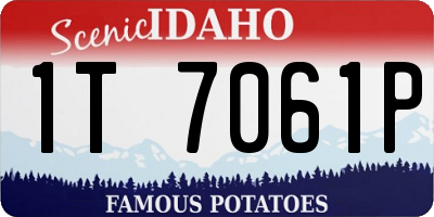 ID license plate 1T7061P