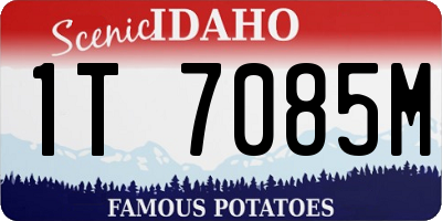 ID license plate 1T7085M