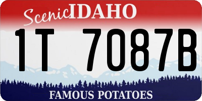 ID license plate 1T7087B