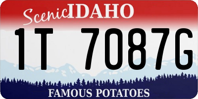 ID license plate 1T7087G