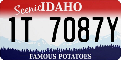 ID license plate 1T7087Y