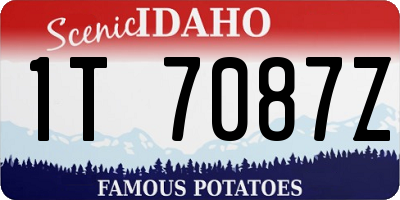 ID license plate 1T7087Z