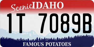 ID license plate 1T7089B