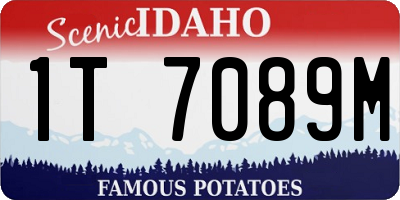 ID license plate 1T7089M