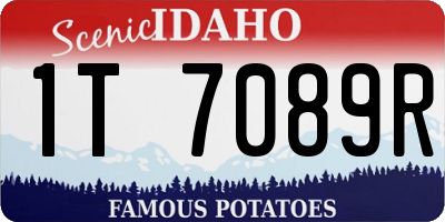 ID license plate 1T7089R