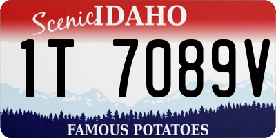 ID license plate 1T7089V