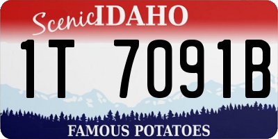 ID license plate 1T7091B