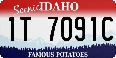 ID license plate 1T7091C