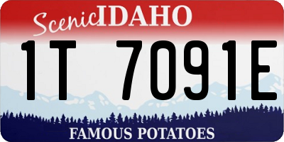 ID license plate 1T7091E