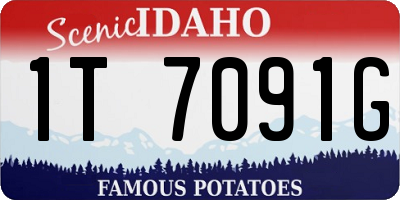 ID license plate 1T7091G