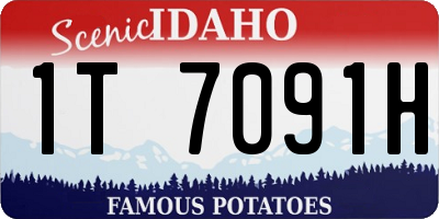 ID license plate 1T7091H