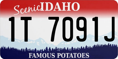 ID license plate 1T7091J